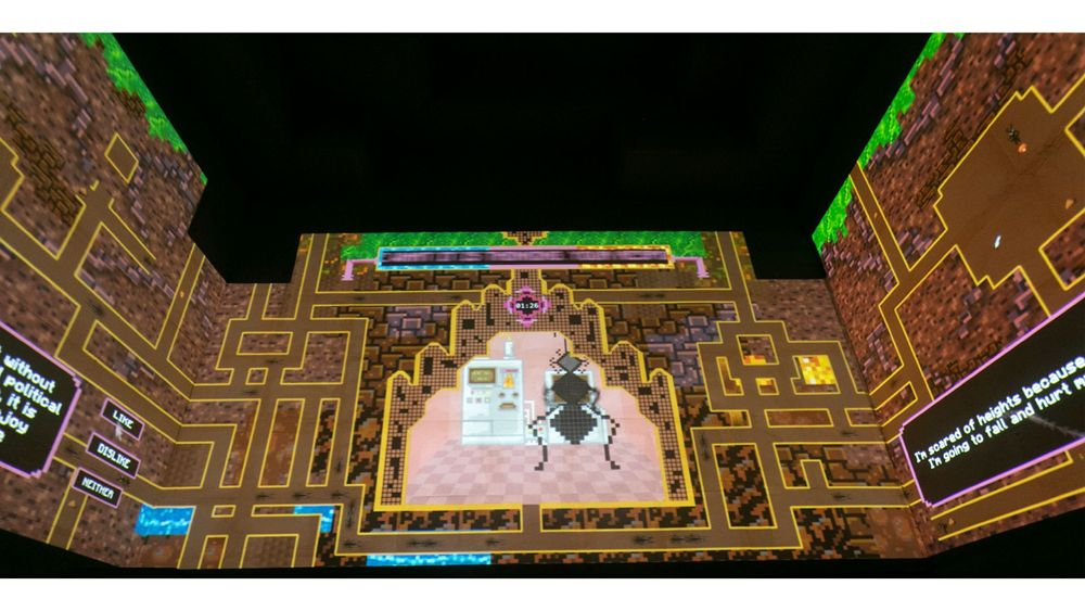 Screenshot der Installation Where Do the Ants Go?