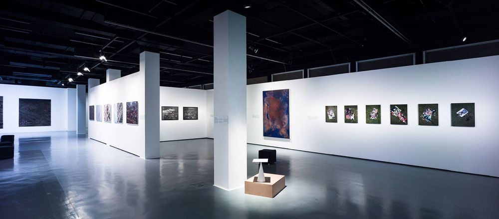 An den weißen Wänden in dem Ausstellungsraum hängen Bilder in verschiedenen Größen.