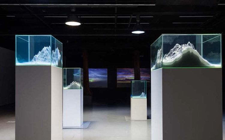 Die Ausstellungsansicht zeigt vier weiße Podeste, auf denen Glaskästen oder Aquarien stehen, die mit Exponaten und Flüssigkeit gefüllt sind. An der schwarzen Wand im Hintergrund hängen Bilder, die Sonnenaufgänge oder Sonnenuntergänge zeigen. 